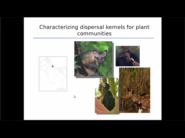 Telemetry day1_session1_Soumya Prasad Asian Hornbills and their implications in seed dispersal