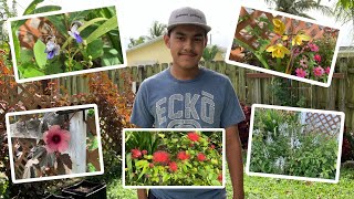 5 Flowering Plants You MUST Grow In Your Florida Garden??✨?S:2,Ep.19//Ultimate Gardening