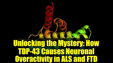 Unlocking the Mystery: How TDP-43 Causes Neuronal Overactivity in ALS and FTD