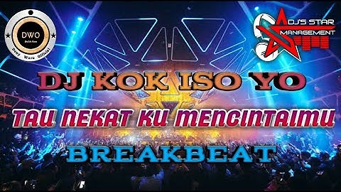 DJ KOK ISO YO - TAU NEKAT KU MENCINTAIMU 🔴 DJ BREAKBEAT REMIX TERBARU 2023