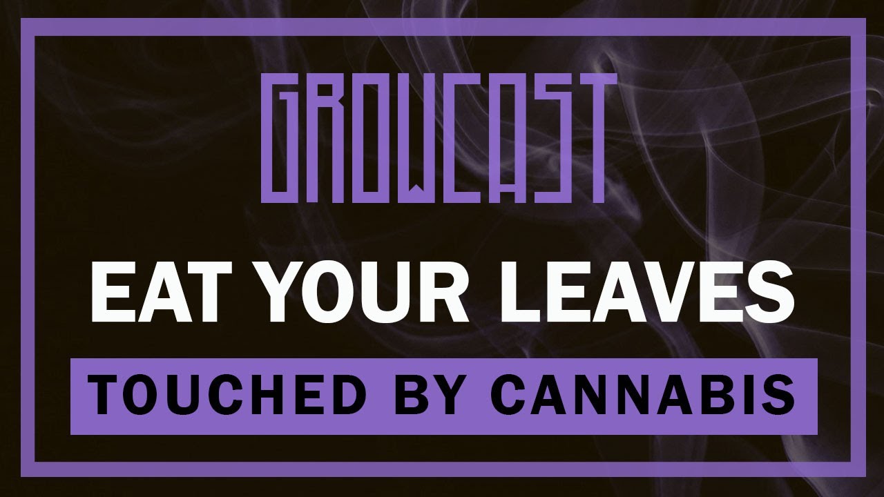 🐓Late Flower Feeding, Utilizing Fan Leaves, and Closed Loop Farming, with Touched by Cannabis