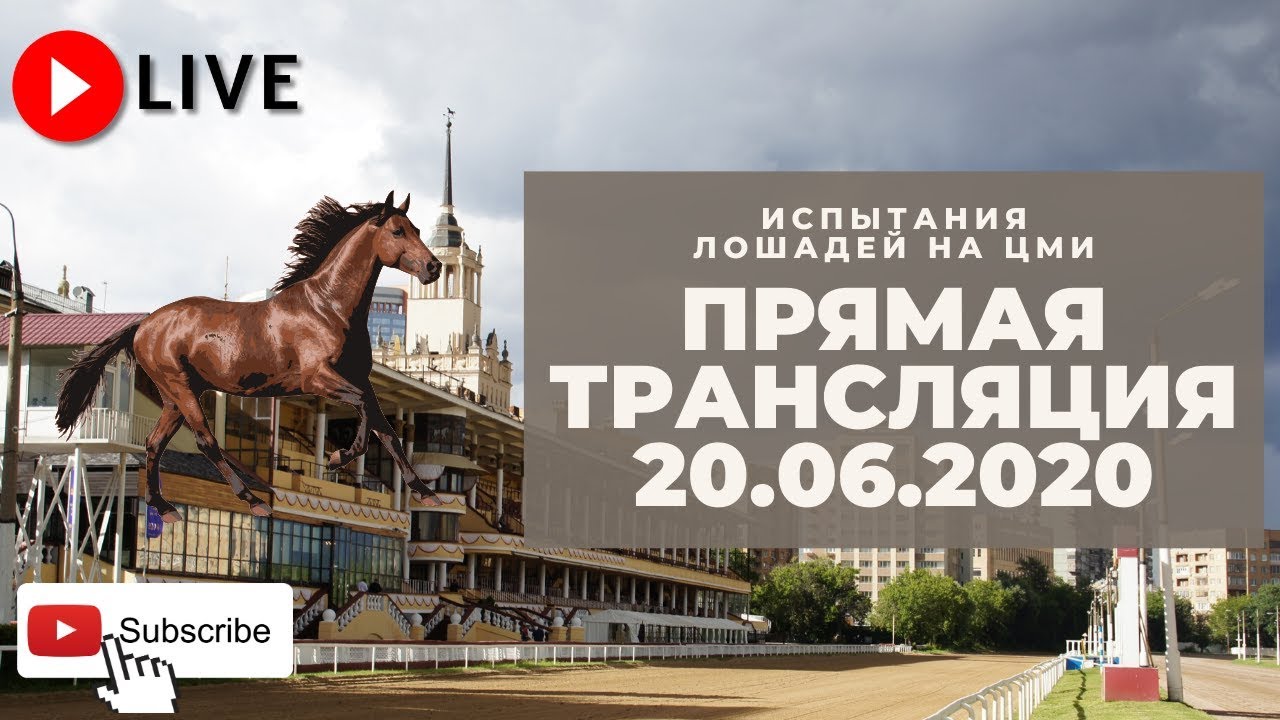 20.06.2020. Прямая трансляция с ЦМИ. Субботние рысаки. Часть 1