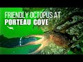 Porteau Cove scuba dive, wreck Granthall, big friendly Octupus, crabs