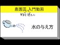 【水の与え方】　農園芸、肥料や培土(培養土)の入門用ショート動画