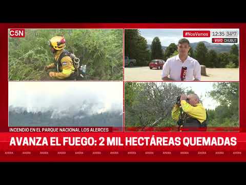 INCENDIO en el PARQUE NACIONAL los ALERCES: MÁS de 2 MIL HECTÁREAS QUEMADAS