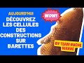 Lart de la construction chez les abeilles  dcouvrez les cellules tonnantes de la ruche warr 