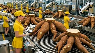 Download Lagu Inside The Factory | 50 Million Fresh Cassava Tubers Are Processed Into Cassava Flour Every Day MP3