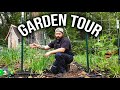 2024 garden update  spring week 1