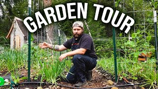2024 garden update ! Spring week 1