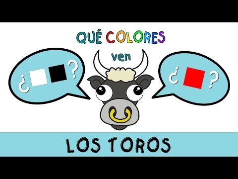 Video: Como Ven Los Toros