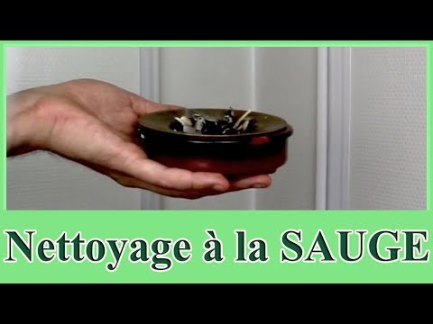 Vidéo: Cécidomyie De La Sauge Dégoûtante