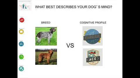 Dog Emotion and Cognition Breed Differences, Part 1