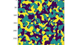Potts Model simulation with code