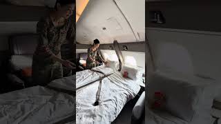 The Best Travel Companion Ever