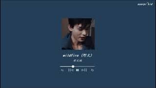 wildfire (野火) ✧slowed reverb✧ - (advance bravely ost)