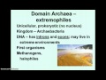 Taxonomy and Classification Quiz