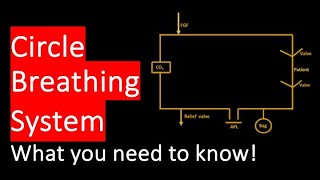 Circle Breathing System I Circle System I Anaesthesia Circuit I Breathing circuit