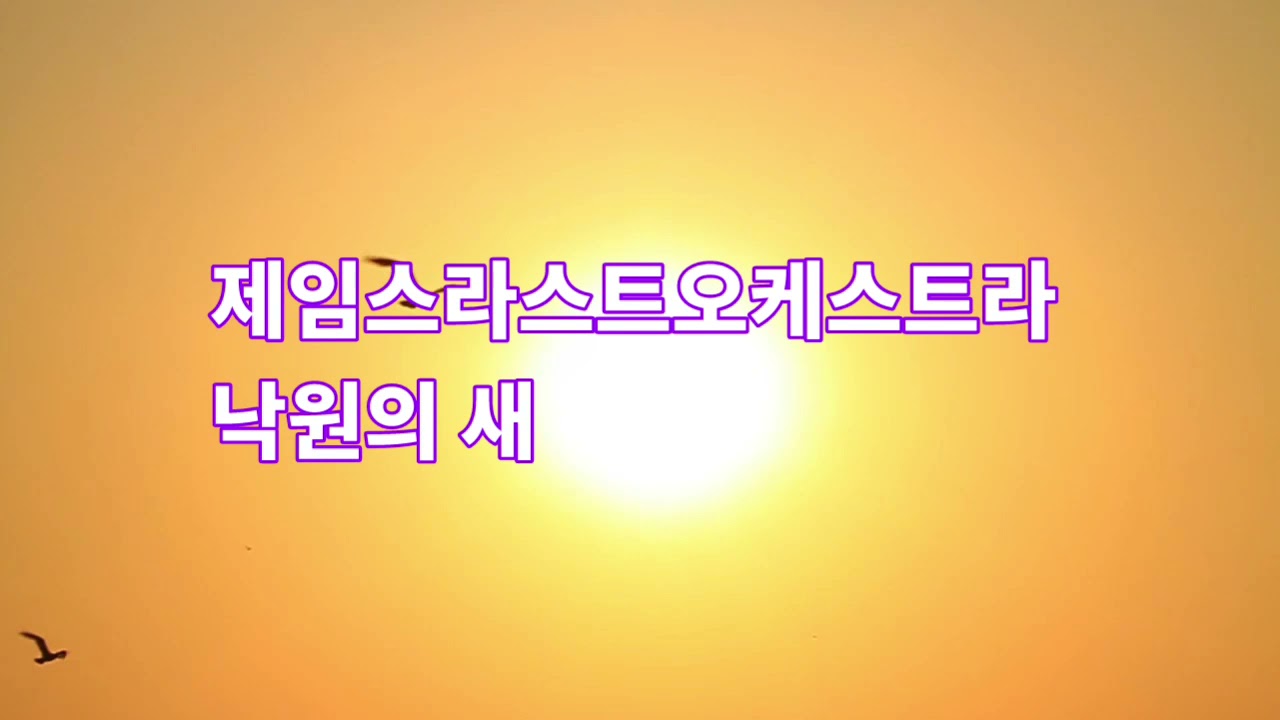 낙원의 새 Paradiesvogel   James Last     제임스라스트오케스트라