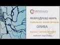 Гармония и Мир ДУШИ. Сакральное знание друидов. НейроДрево мира - Нейрографика / 16+