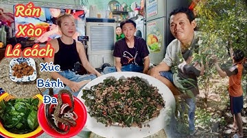 CBVL - Ca Bin làm món rắn xào lá cách xúc bánh đa đặc sản của Miền Tây Nam Bộ
