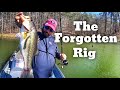 The Bass Fishing Rig I Forgot About - Beginner