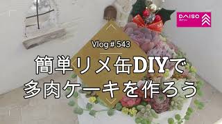 【Vlog543】【多肉植物】ダイソーの缶で簡単多肉ケーキを作ろう?【リメ缶DIY】【クリスマスケーキ】