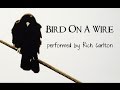 BIRD ON A WIRE performed by RICH CARLTON