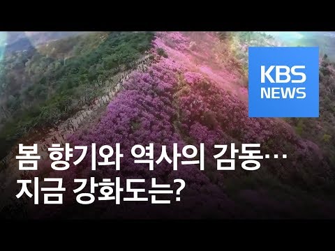 [똑! 기자 꿀! 정보] 진달래 향에 취하니, 역사가 술술…강화로 떠나요 / KBS뉴스(News)