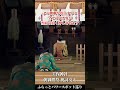 ⚠️見逃し厳禁⚠️この映像を眺めていると全ての良き事が雪崩の如く押し寄せます🌈✨【美保神社 朝御饌祭祝詞奏上】 #運気上昇 #スピリチュアル #パワースポット #遠隔参拝