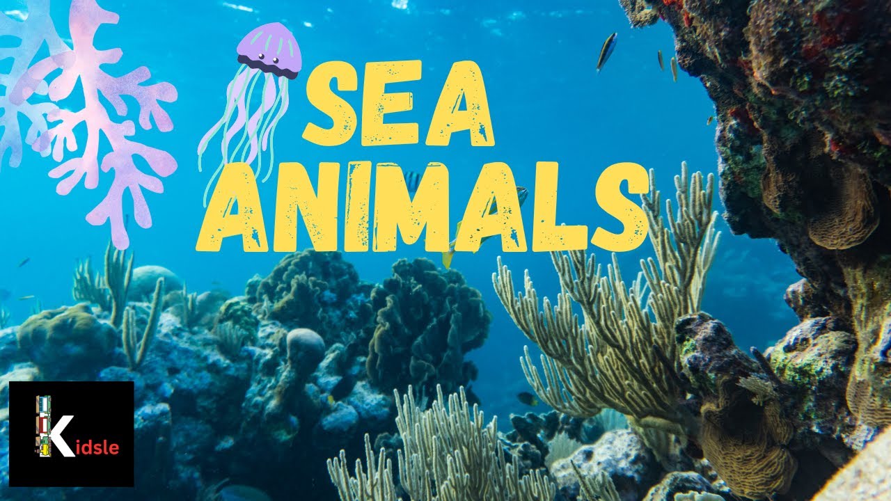 30 Sea Animals Names Amazing Sea Creatures For Kids Learn Sea Animals 30 Sea Animals Names Amazing Sea Creatures For Kids Learn Sea Animals