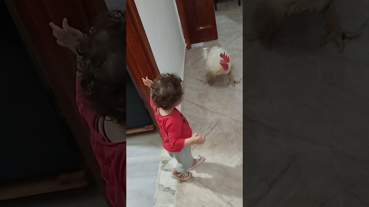 MERIEM BATITA...le coq sportif