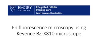 Keyence BZ-X800 series microscope virtual training