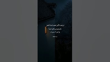 القارئ / شريف مصطفى