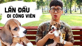 LẦN ĐẦU CHO DƯA HẤU ĐI CHƠI CÔNG VIÊN // OFFLINE HỘI NUÔI CÚN TEAM TITO