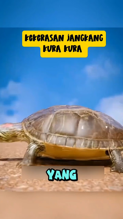 Kura kura yang malang di makan buaya #shrots #animals