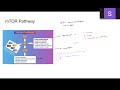 Brain Facts (Chapter 11): mTOR Pathway thumbnail