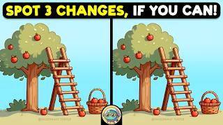 🐢🧩 Find The Difference | Puzzle Masters Only 🧩🐢 | Quizonaut Turtle screenshot 5
