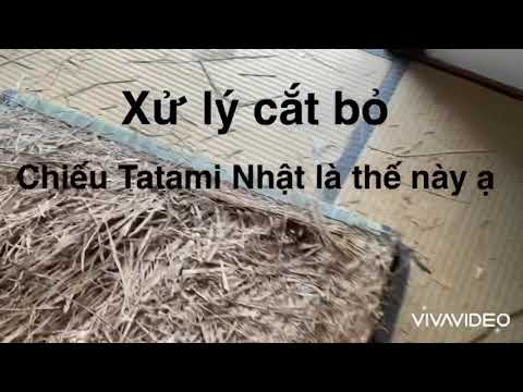 Chiếu Tatami Của Nhật - CHIẾU TATAMI NHƯ THẾ NÀO ? CÁC BẠN NGHE NÓI NHƯNG ĐÃ BIẾT SỰ THẬT CHƯA ? Lót sàn gỗ bỏ chiếu Tatami