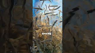 빙어튀김 빙어회 빙어의계절