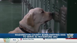 Washington County K-9 completes explosive detection training course
