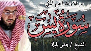 تلاوة خاشعة من الحرم | سورة يس | الشيخ بندر بليلة | Bandar Balilah, Surat Yasin