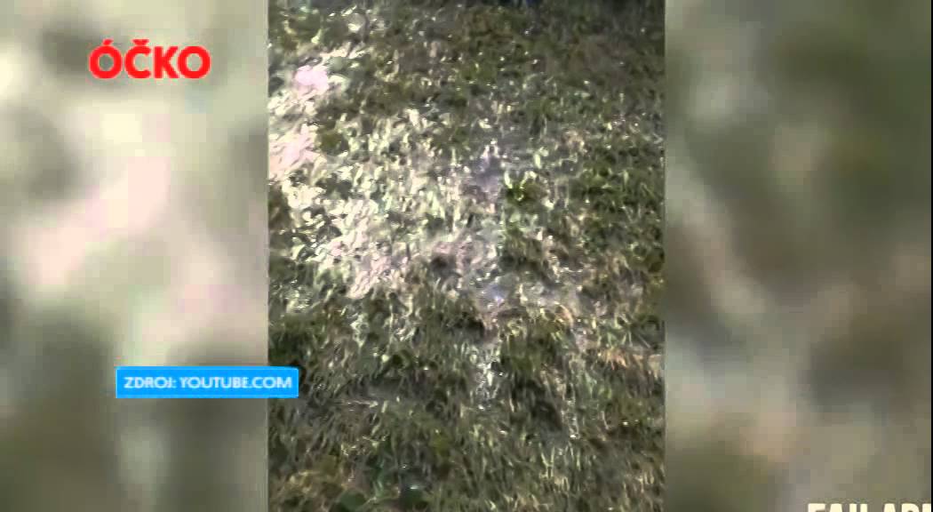 ShowREC - Ice Bucket Challenge FAILS