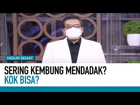 Video: Keluar Gas: 7 Rahasia Untuk Bertahan Dari Perut Kembung (gas Usus) Pada Hewan Peliharaan