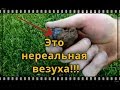 Шикарные находки !! У Ильи тряслись руки от этой монеты !!!