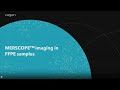 Merscope imaging in ffpe samples