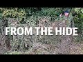 Archive Episode 3