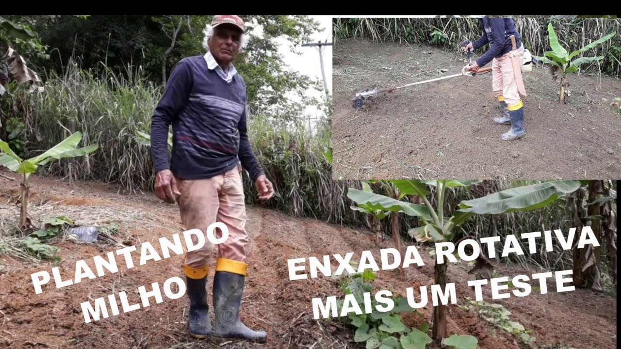 Na roça novo teste da enxada e plantando milho - YouTube