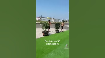 Thảm cỏ nhân tạo sân vườn trang trí nhà tết 2021 cực đẹp