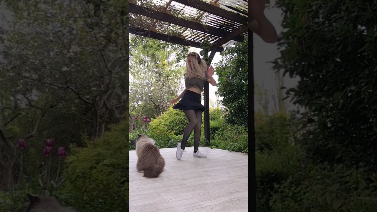 What is love? ❤️ 