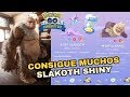AUMENTA LAS PROBABILIDADES DE CAPTURAR MUCHOS SLAKOTH SHINY! GUÍA
COMMUNITY DAY POKEMON GO!